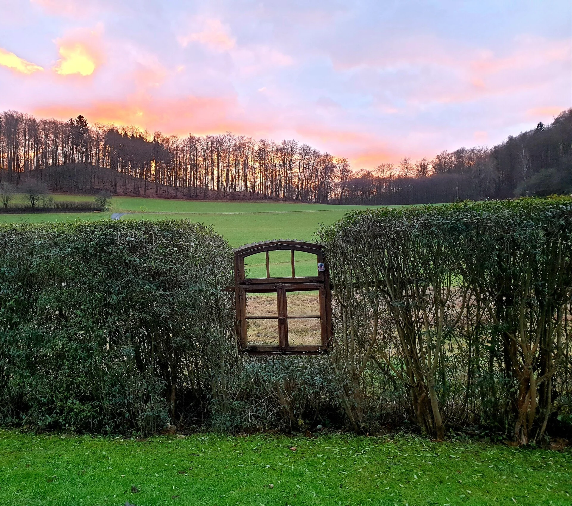 Blick aus dem Garten in die Natur Nordhessens