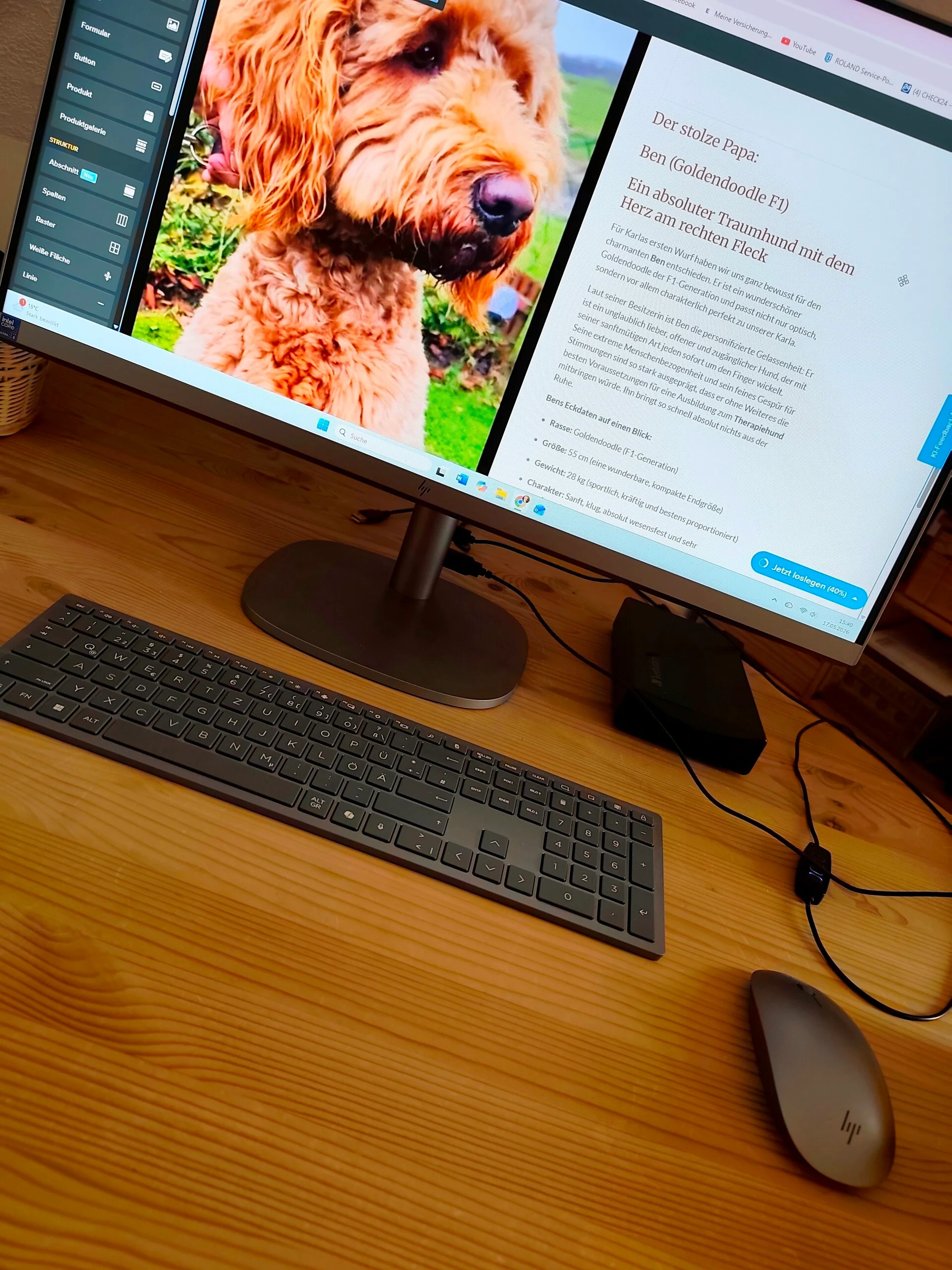 Digitale Bearbeitung der Website Karlas Doodlepuppies